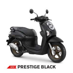 Scoopy